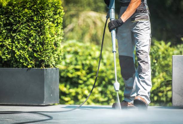 Best Sidewalk and Walkway Cleaning  in Brownsville, FL